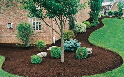 The Benefits of Mulching Your Flower Beds